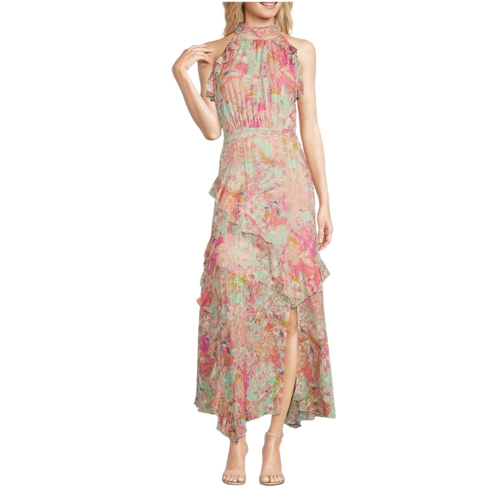 NWT ALEX MARIE Maxi dress